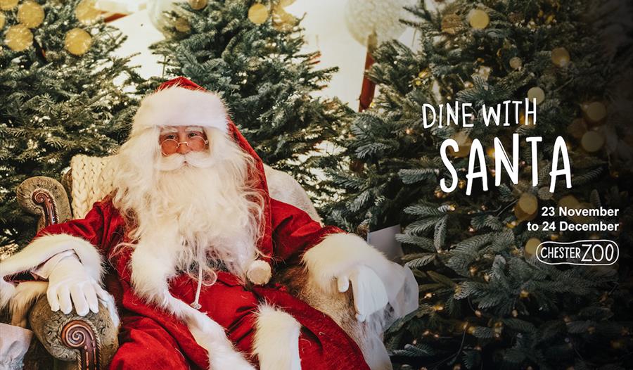 Dine with Santa at the Zoo